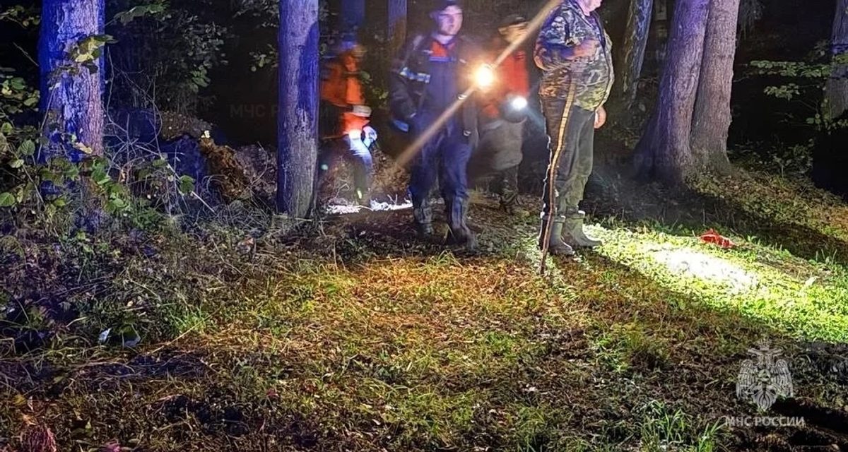 Пенсионер заблудился в лесу Подольска и вызвал спасателей — его нашли около полуночи