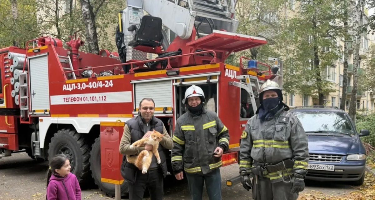 Пожарные поднялись по выдвижной лестнице и сняли кота Василия с высоты третьего этажа
