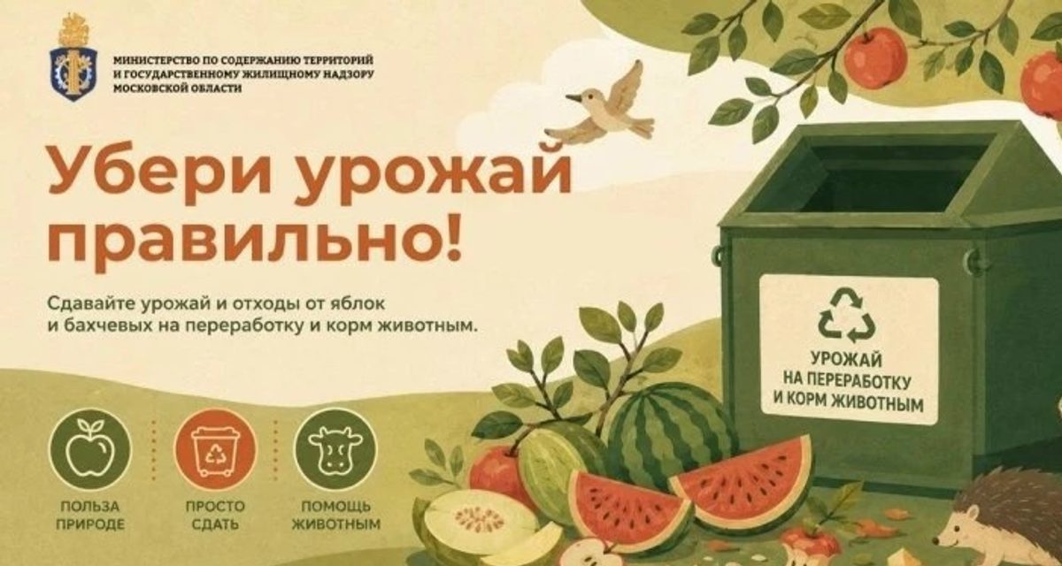 В Балашихе с 7 по 28 сентября можно сдать овощи и фрукты на переработку